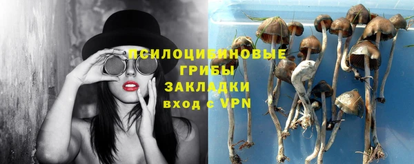 PSILOCYBIN Бронницы